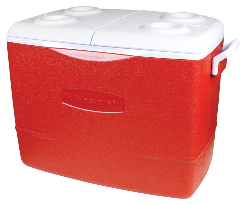 Sorry No Image Found