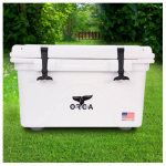 Sorry No Image Found